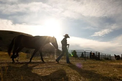 Get to Know the American Cowgirls Redefining Contemporary Ranching